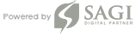 Sagi